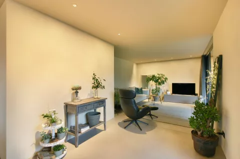 Wohnbereich mit Kommode, schwarzen Sessel, graues Sofa, grüne Pflanzen, TV und LED-Spots in der Decke