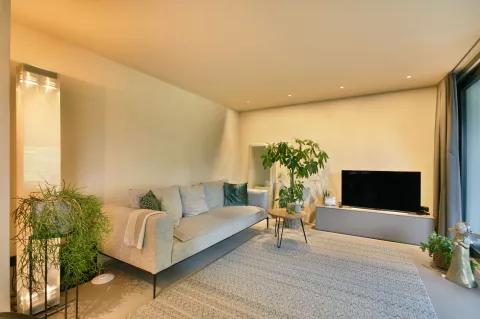 Wohnbereich mit grauem Sofa, kleiner Couchtisch, TV, grüne Pflanzen, LED-Spots in der Decke und hohe helle Stehlampe in der Ecke