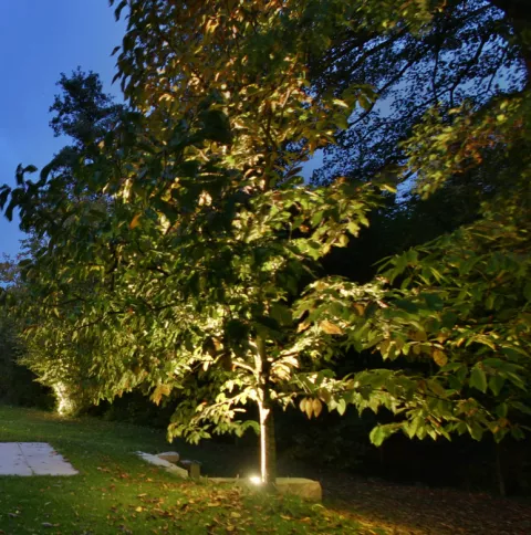 Gartenanlage mit Baumbeleuchtung und Wandleuchten